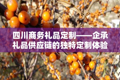 四川商务礼品定制——企承礼品供应链的独特定制体验