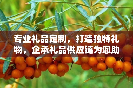 专业礼品定制，打造独特礼物，企承礼品供应链为您助力